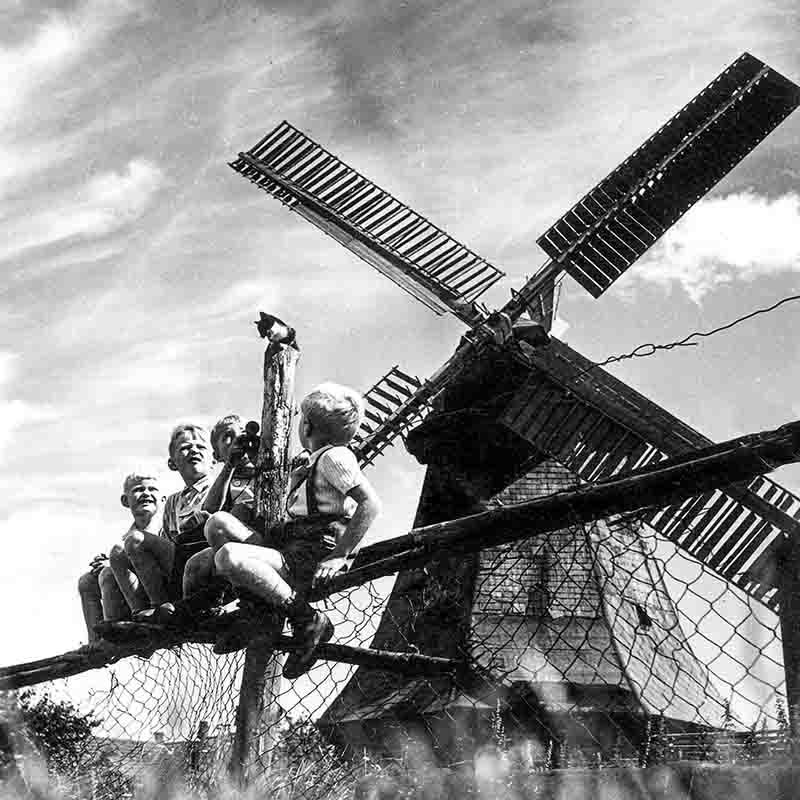 Schwarz-Weiß-Fotografie von Peter Bock-Schroeder: Insel Volendam, 1937, Holland. Vier Kinder sitzen nebeneinander auf einem Holzzaun und beobachten eine kleine Katze, die oben auf einem Zaunpfahl sitzt. Im Hintergrund steht eine große Windmühle mit ihren Flügeln vor einem leicht bewölkten Himmel.