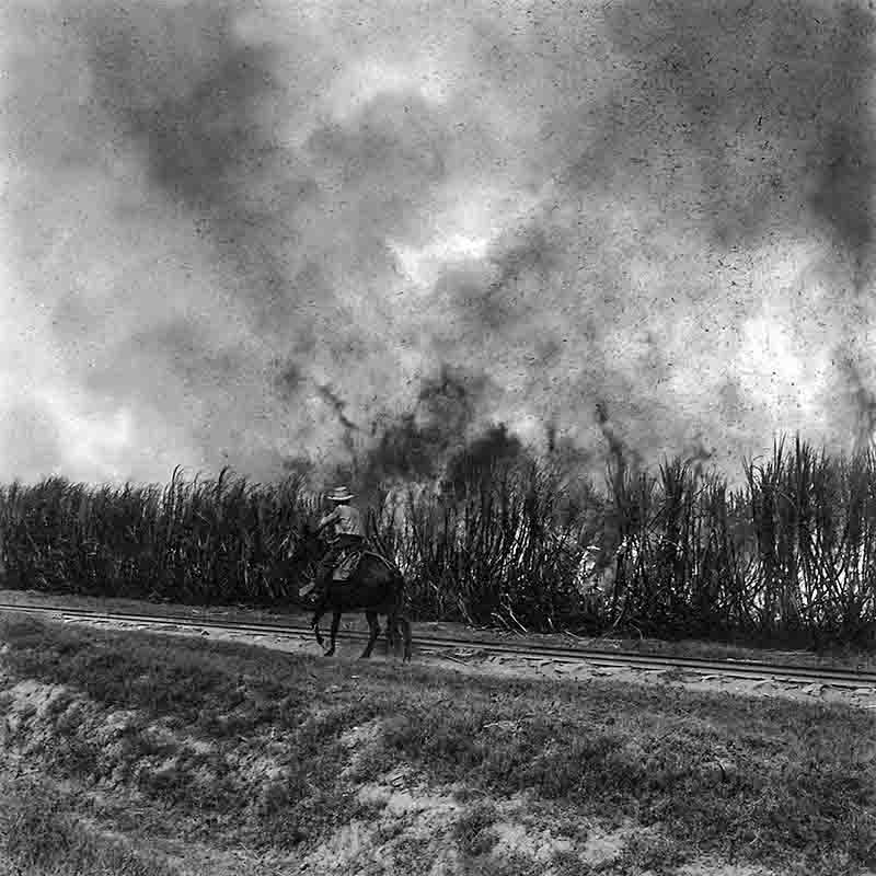 Schwarz-Weiß-Fotografie von Peter Bock-Schroeder aus Peru: Ein Reiter mit Hut reitet auf einem Pferd entlang von Gleisen vor einem brennenden Zuckerrohrfeld, aus dem dichter Rauch und Aschepartikel in den Himmel steigen.